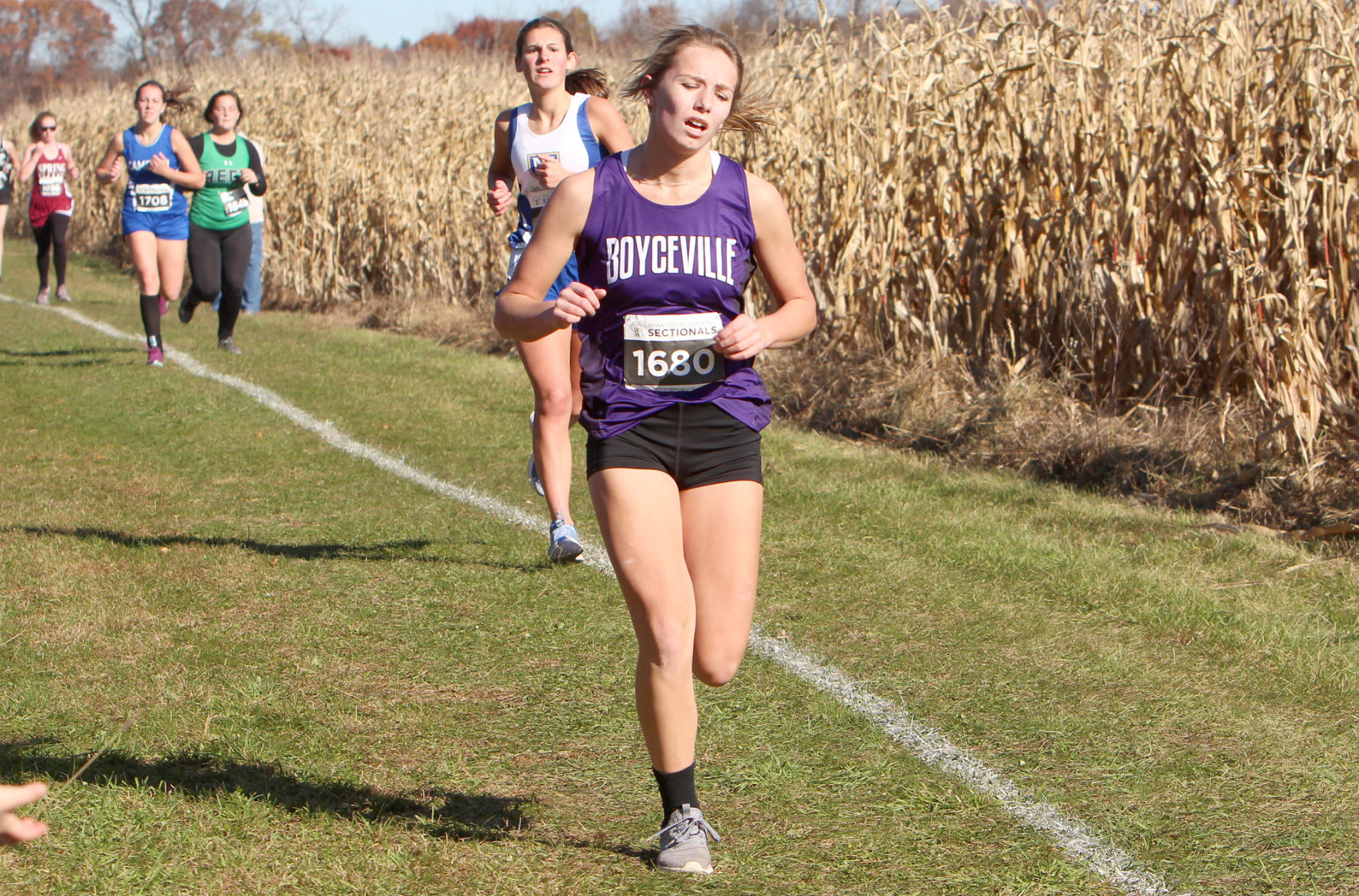 Division 3 Cross Country Sectionals in Boyceville 10-26-19